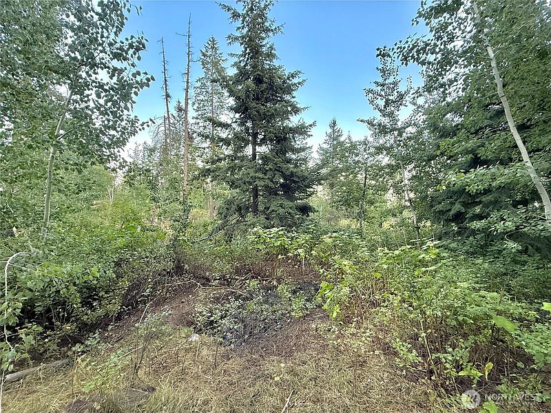 3rd image of 0 TBD Buzzard Lake Road
