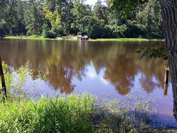 View of the Lake