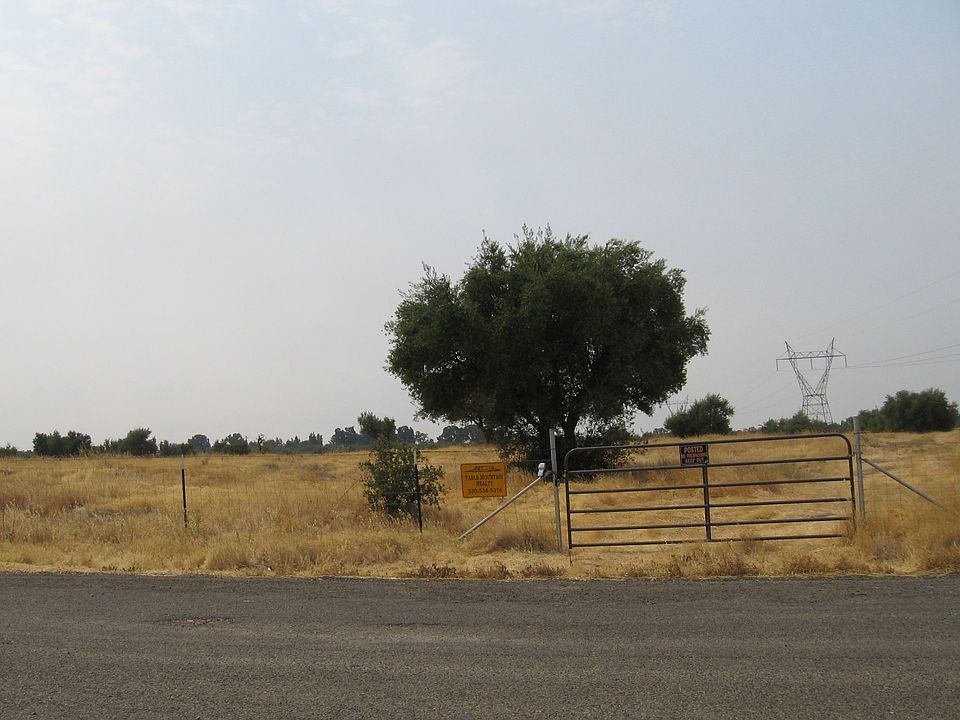 1st image of Craig Ave