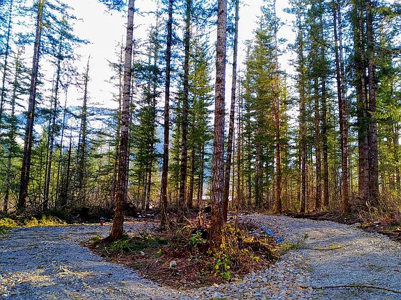 Cleared Well(L)&Driveway(R)