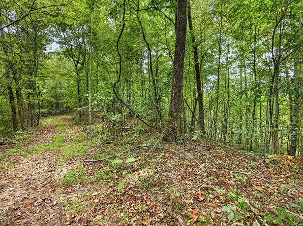 30 & 31 Timber Ridge Ln #Phase Ii, Celina, TN 38551