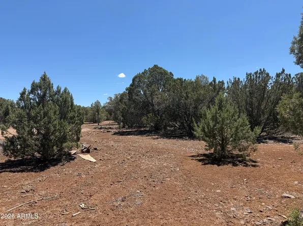 1886 White Tail Place #13-14, Show Low, AZ 85901