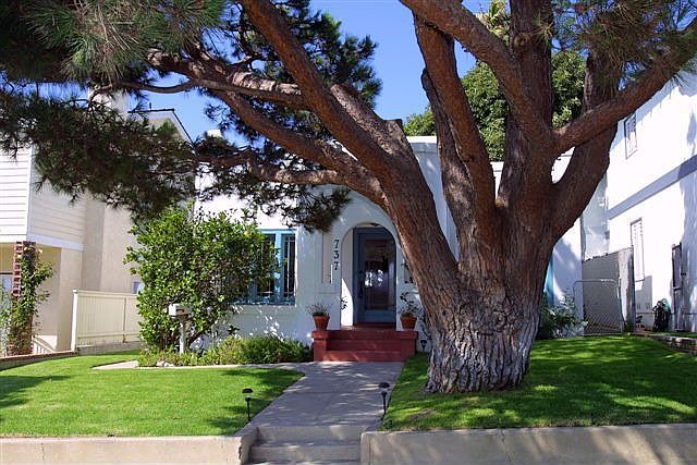 Main Home