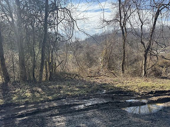 5th image of 380 Frogs Creek Rd