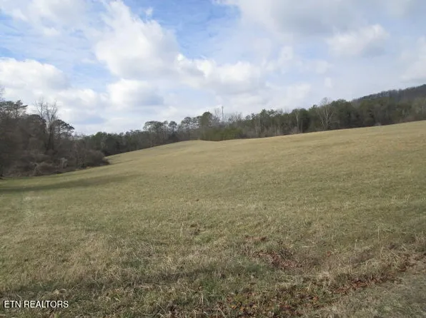 Jarnagin Ave, Rutledge, TN 37861