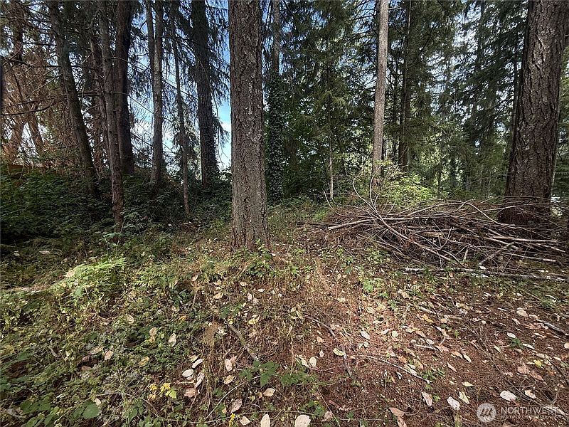 4th image of 19421 24th Street SW