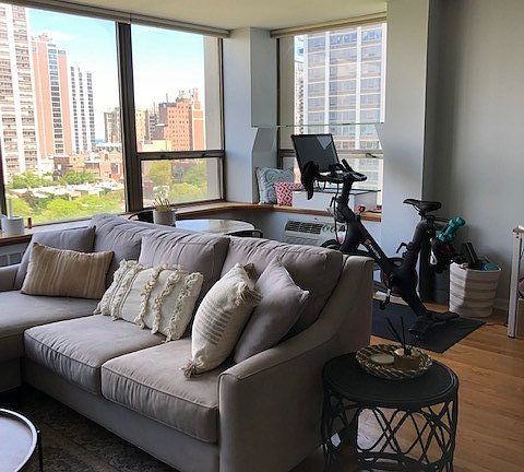 4th image of 1360 N Sandburg Ter APT 1008