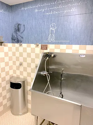 Sold by Living Quest Real Estate Inc. | media 14