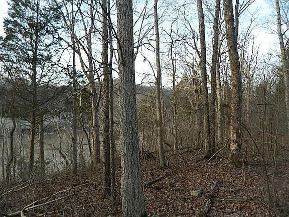 3rd image of 86 N Fork Dr