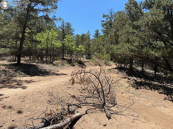3rd image of Township Road 145 Path #J