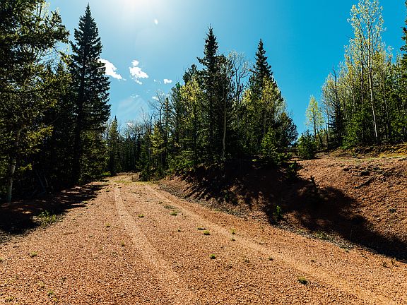 4th image of 977 County Road 61