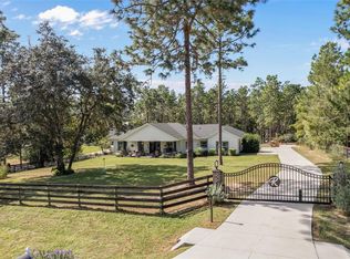 8556 COUNTY ROAD 243, WILDWOOD, FL 34785
