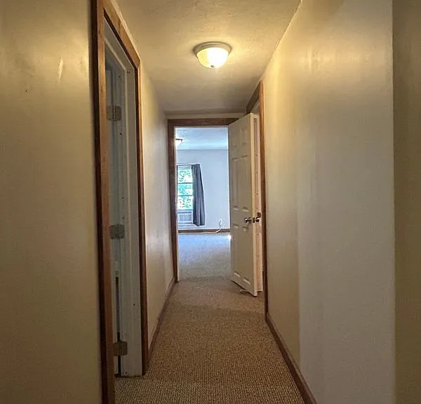58 Norman St — Photo 11
