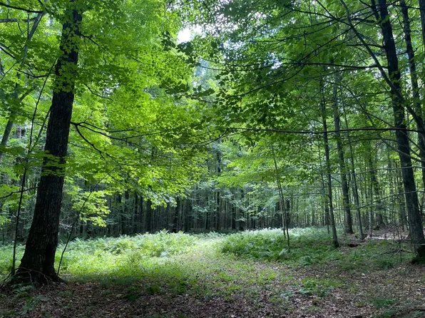 N6811 Neuwirth Rd, Gleason, WI 54435
