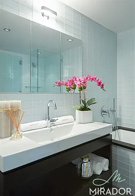 Rented by Mirador Real Estate | media 75