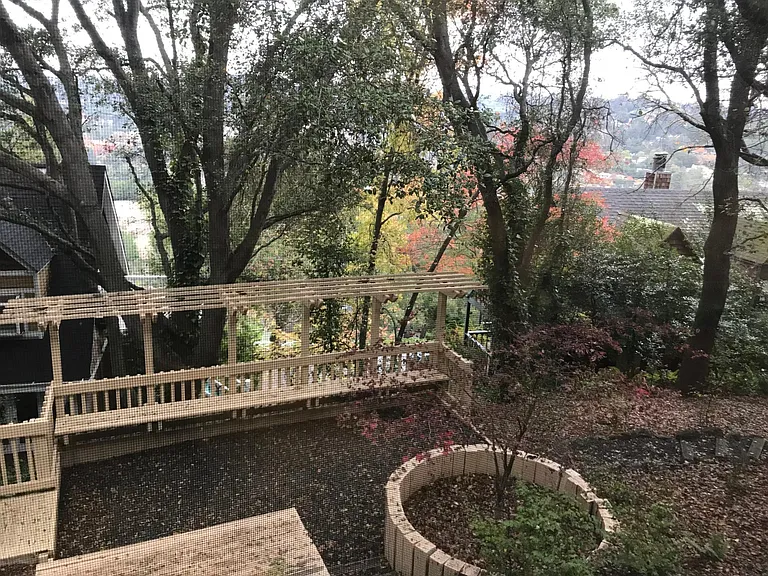 Back yard down the hill