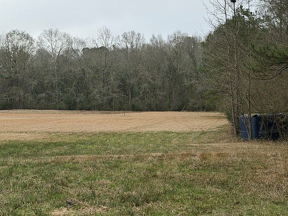 3rd image of 71 Thomas Ed Rustin Rd