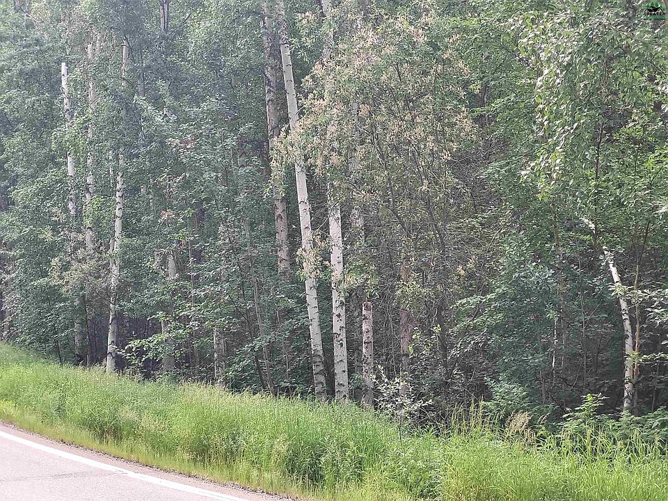 1st image of Nhn Steele Creek Rd