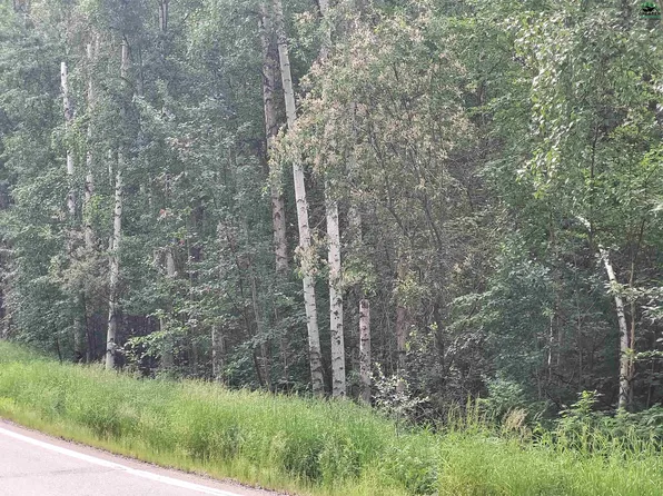 Nhn Steele Creek Rd, Fairbanks, AK 99712