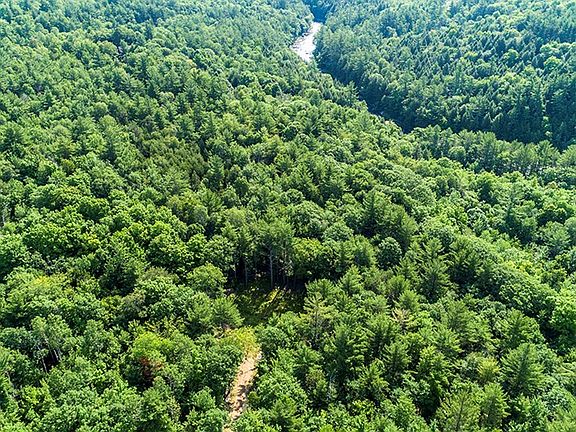 2nd image of 23 Ausable Run Ln