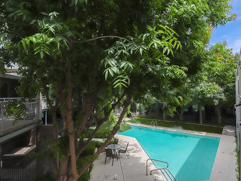 Pool & Pool Patio