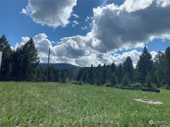 907 Nealey Road, Oroville, WA 98844