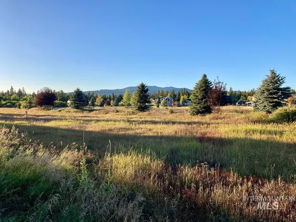 1645 Ginney Way, McCall, ID 83638