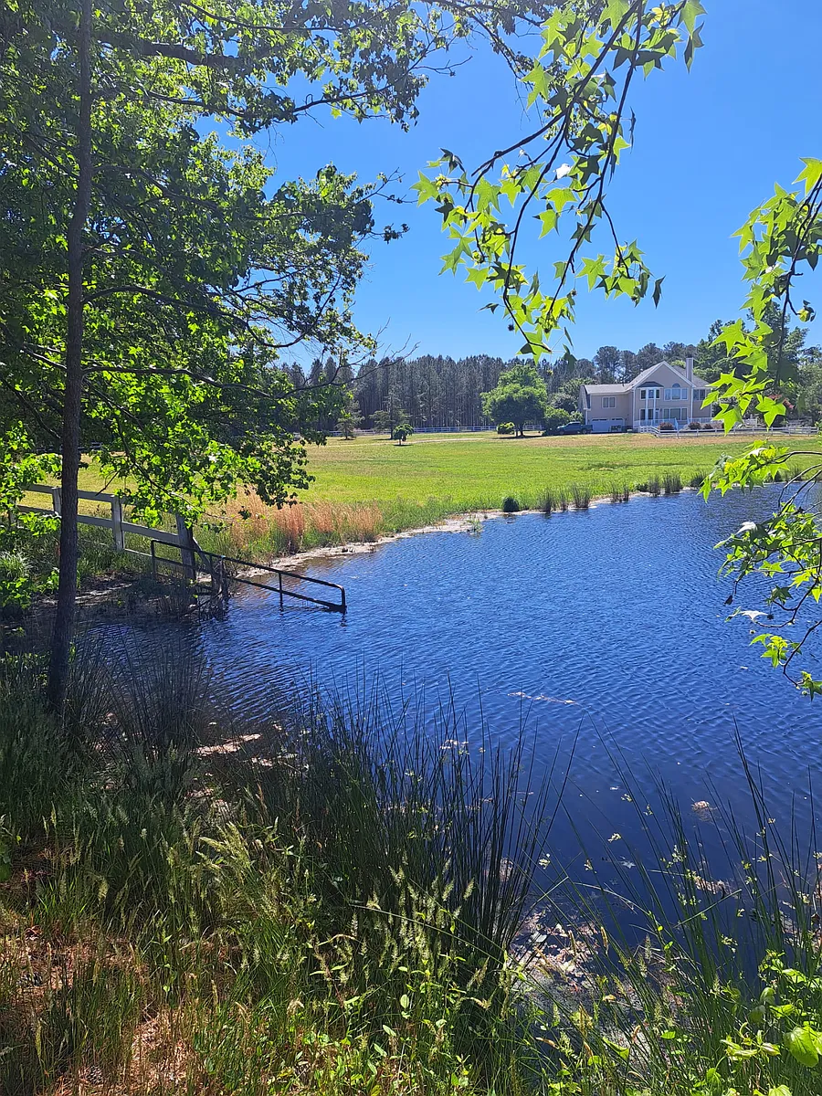 Time for some fishing? Plenty of largemouth bass! - 3553 Brassfield Rd