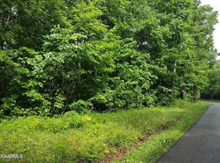 TRACT 8 Pilot Mountain Rd, Sunbright, TN 37872