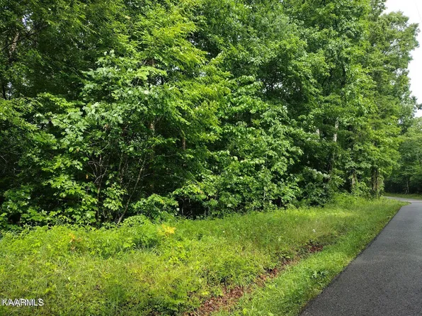 TRACT 8 Pilot Mountain Rd, Sunbright, TN 37872