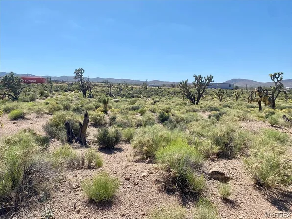 27401 N Peach Dr, Meadview, AZ 86444