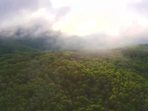 Raenne Dr, Spring City, TN 37381