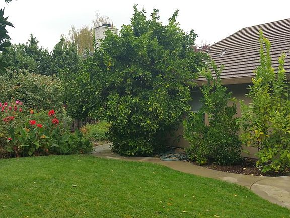 Beautifully landscaped backyard