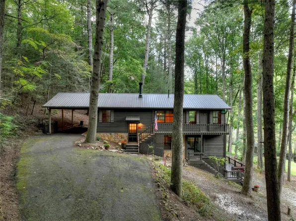 86 Cozy Valley Ln, Cherry Log, GA 30522