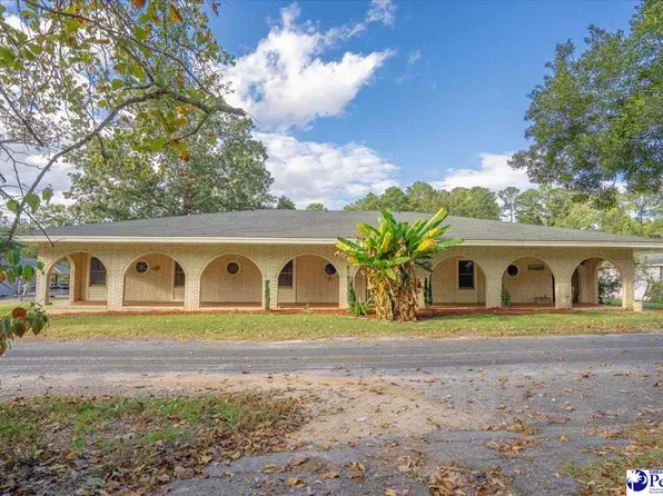 138 Ski Cove Ln, Hartsville, SC 29550