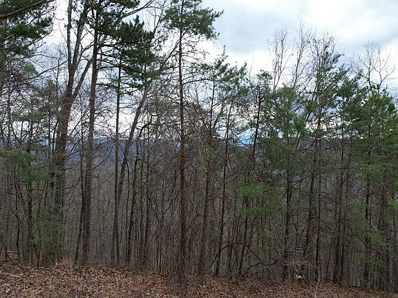 5th image of 116 Settlers View Ln Lot 116E