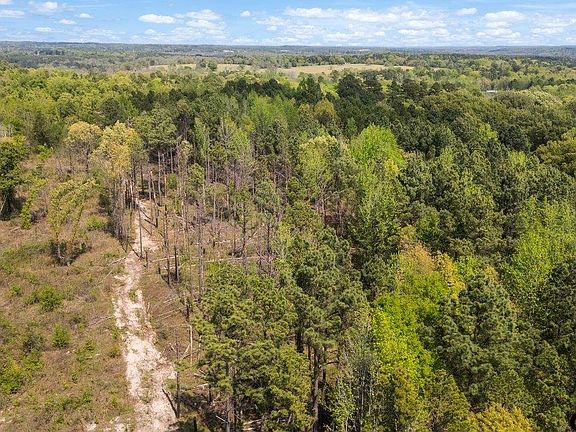 2nd image of 5230 County Road 380