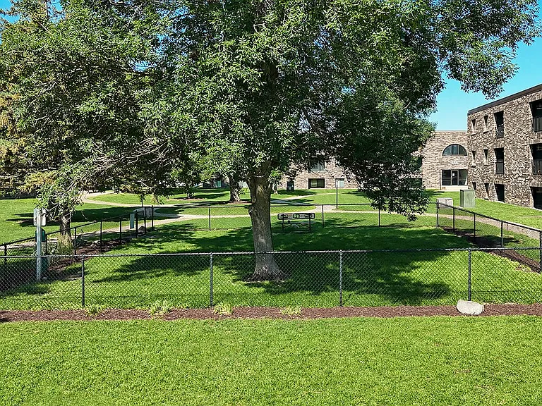 Enclosed Dog Park