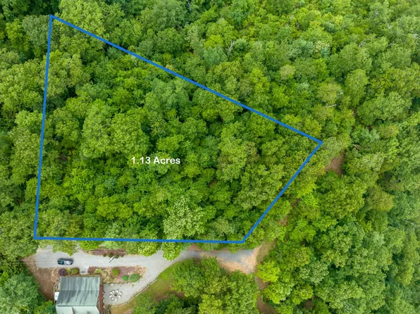 923 Aurora Ln, Ranger, GA 30734
