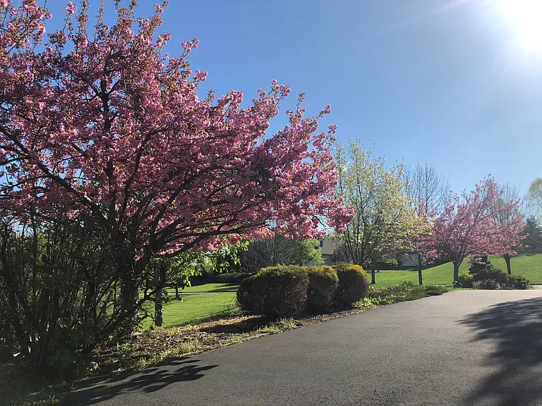 2 Old Mill Ct — Photo 20