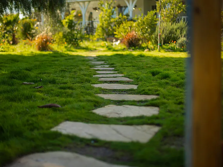 Loma Dr — Photo 35