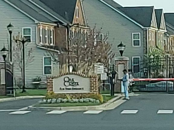 5th image of 420 Esmond Pl