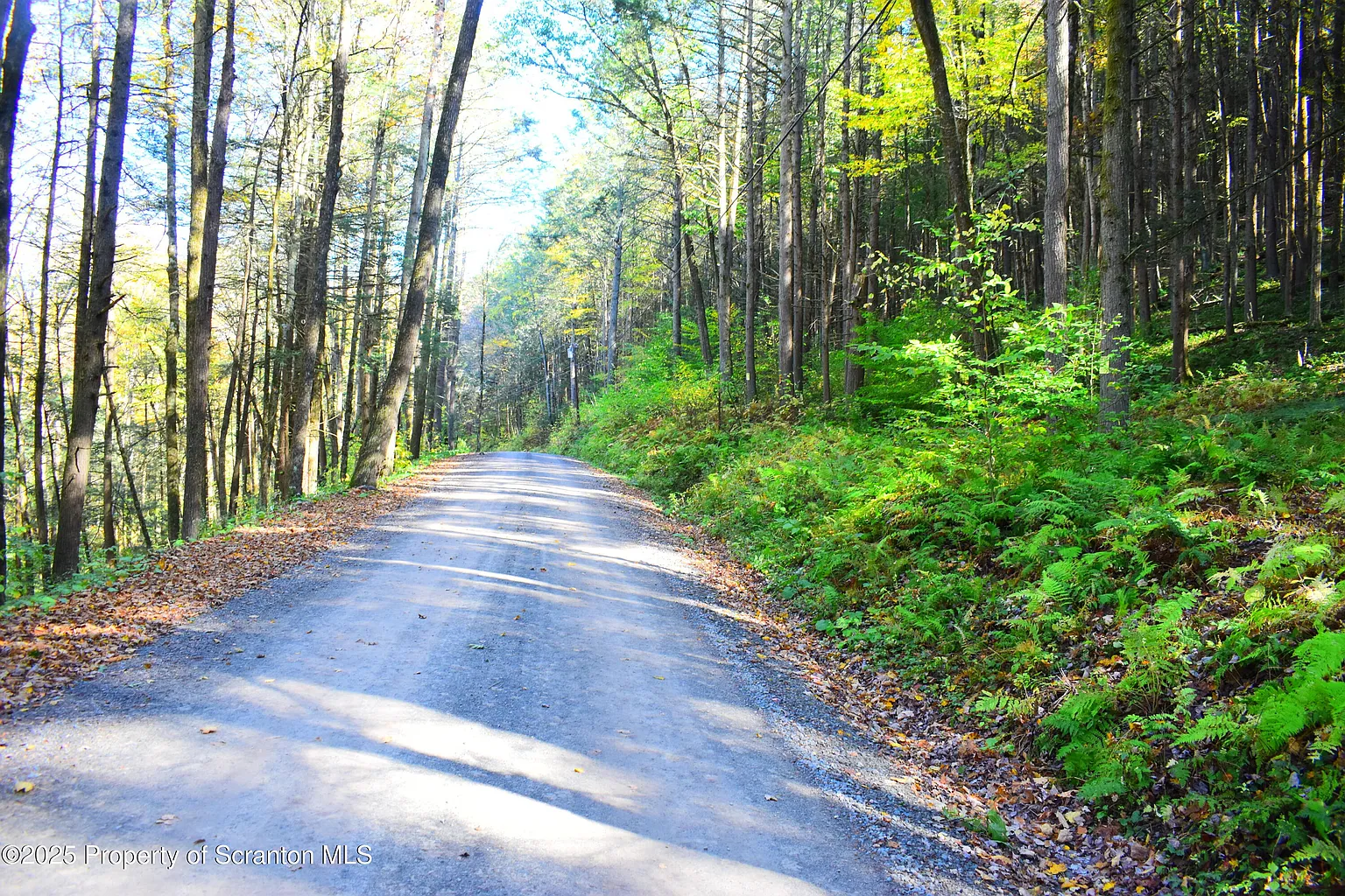 Graham Hollow Rd photo 1