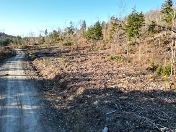 Lot 11 Ghost Road, Springfield, ME 04487