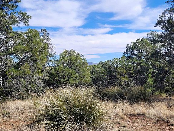 2nd image of Xx Moon Shadow