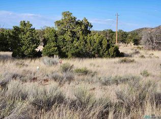 41 Blue Hills Trl, Pie Town, NM 87827