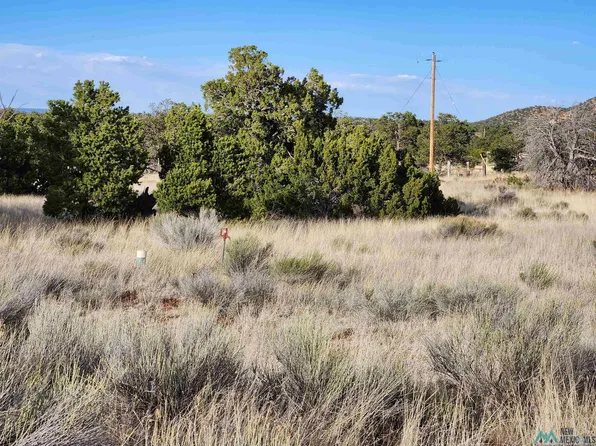 41 Blue Hills Trl, Pie Town, NM 87827
