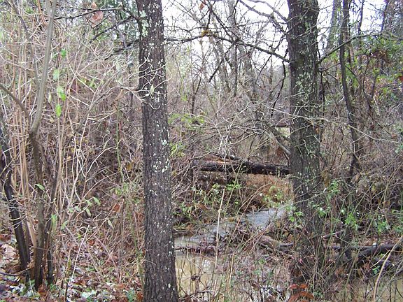 4th image of Lusk Camp Rd