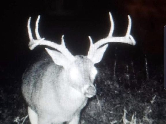 5th image of 16513 Fm 1159