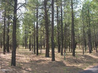 4206 Timberline Dr #4, Happy Jack, AZ 86024